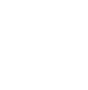 Digital Release of Info ICON White