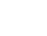 Payer-Health Plans ICON White